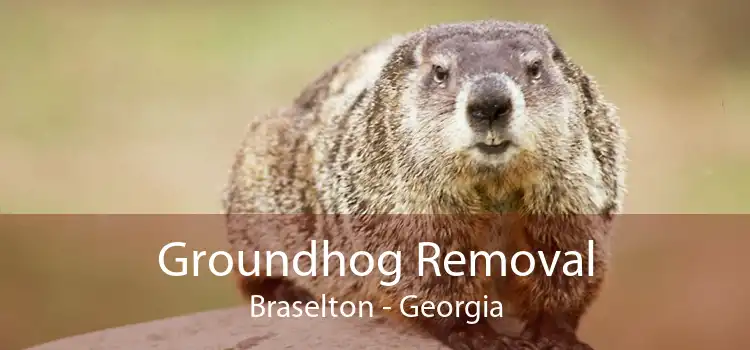 Groundhog Removal Braselton - Georgia