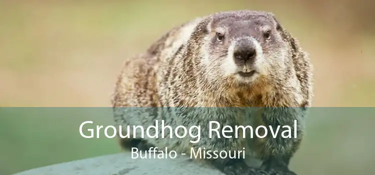 Groundhog Removal Buffalo - Missouri