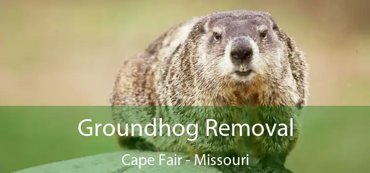 Groundhog Removal Cape Fair - Missouri