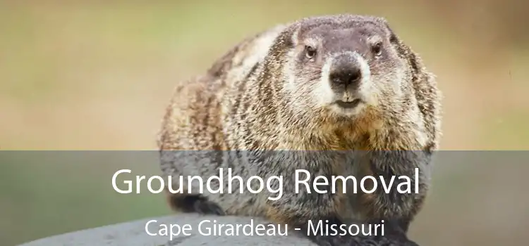 Groundhog Removal Cape Girardeau - Missouri