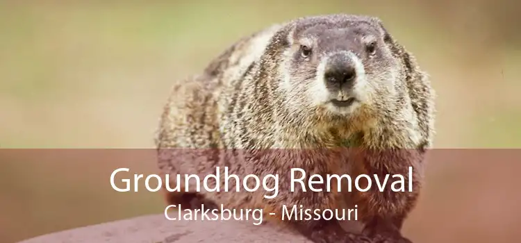 Groundhog Removal Clarksburg - Missouri