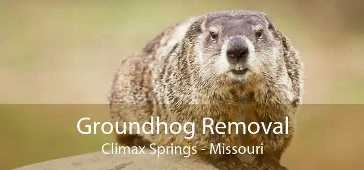 Groundhog Removal Climax Springs - Missouri