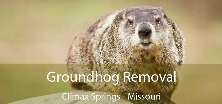 Groundhog Removal Climax Springs - Missouri