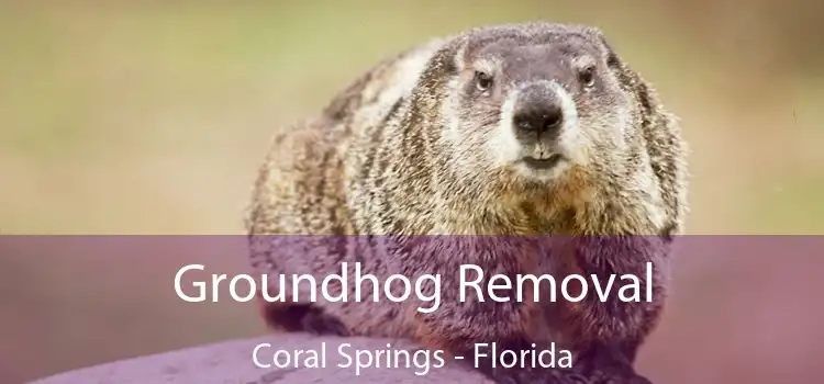 Groundhog Removal Coral Springs - Florida