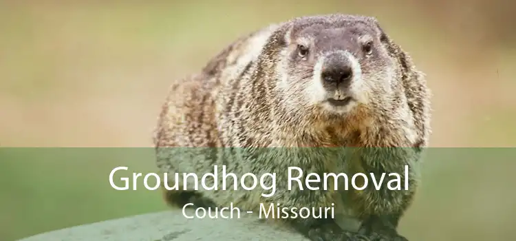 Groundhog Removal Couch - Missouri