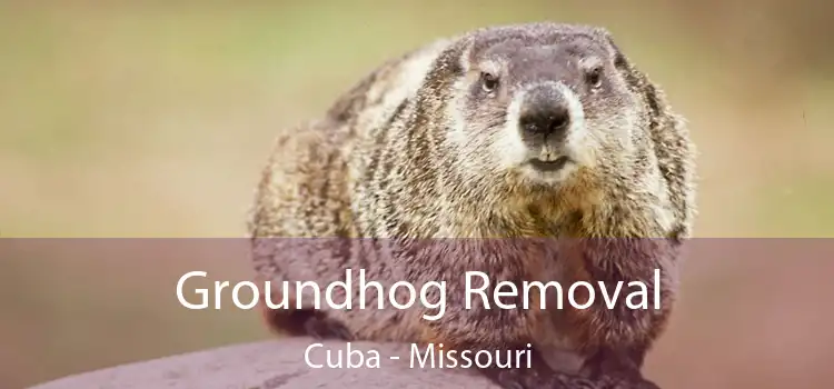 Groundhog Removal Cuba - Missouri