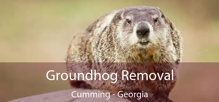 Groundhog Removal Cumming - Georgia