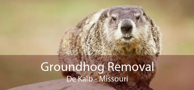 Groundhog Removal De Kalb - Missouri