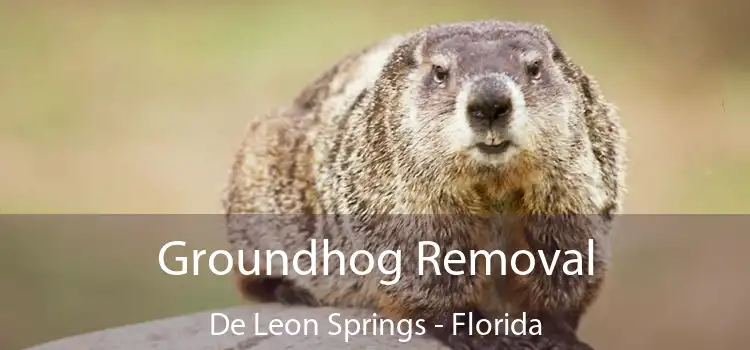 Groundhog Removal De Leon Springs - Florida
