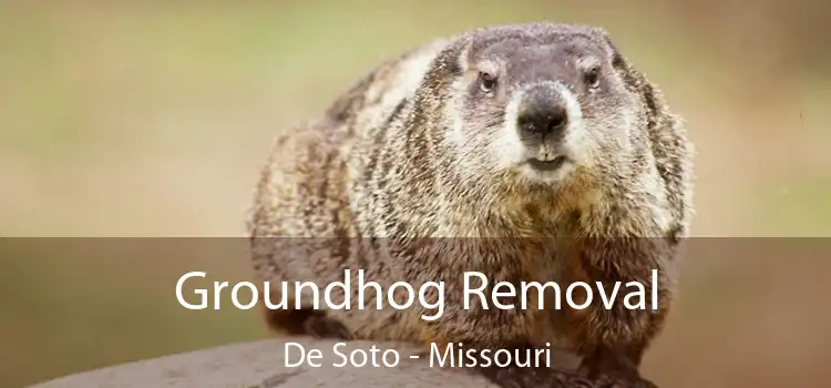 Groundhog Removal De Soto - Missouri