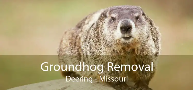 Groundhog Removal Deering - Missouri