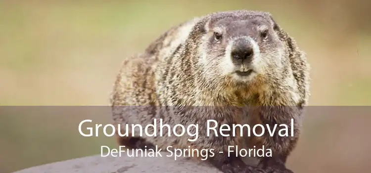 Groundhog Removal DeFuniak Springs - Florida