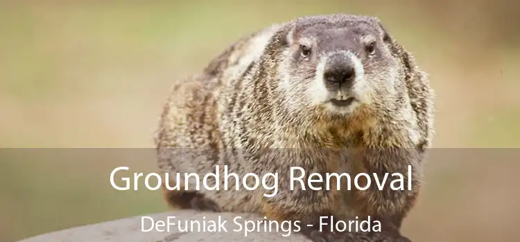 Groundhog Removal DeFuniak Springs - Florida