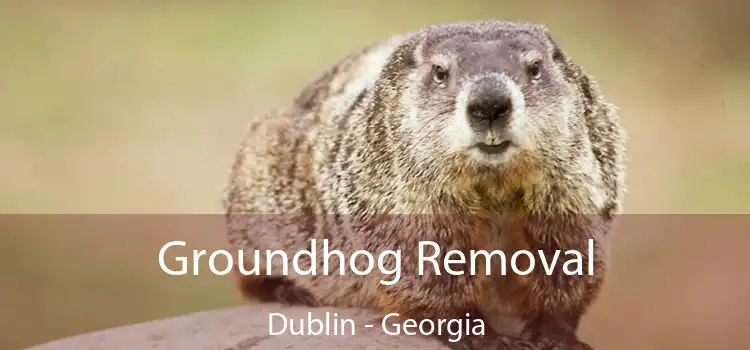 Groundhog Removal Dublin - Georgia