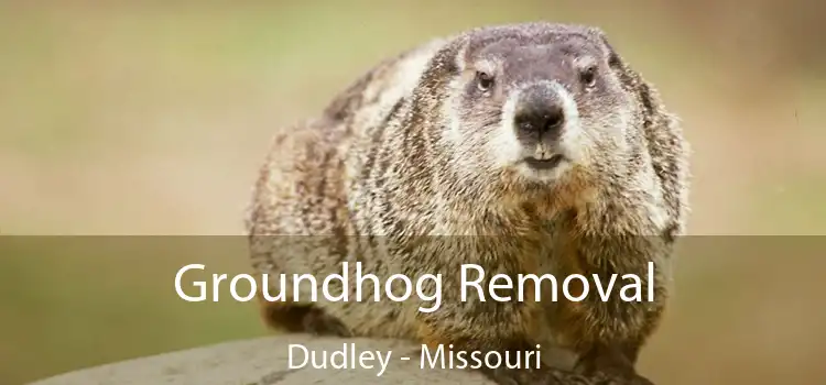 Groundhog Removal Dudley - Missouri