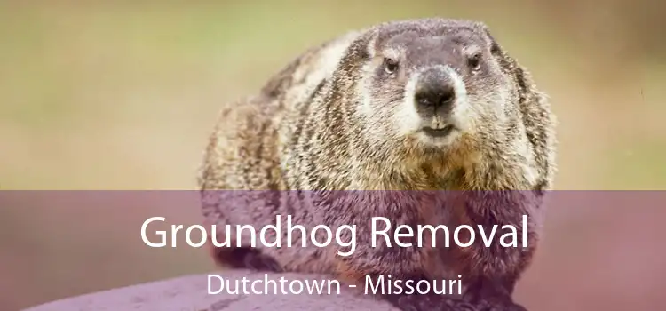 Groundhog Removal Dutchtown - Missouri