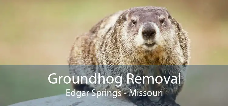 Groundhog Removal Edgar Springs - Missouri