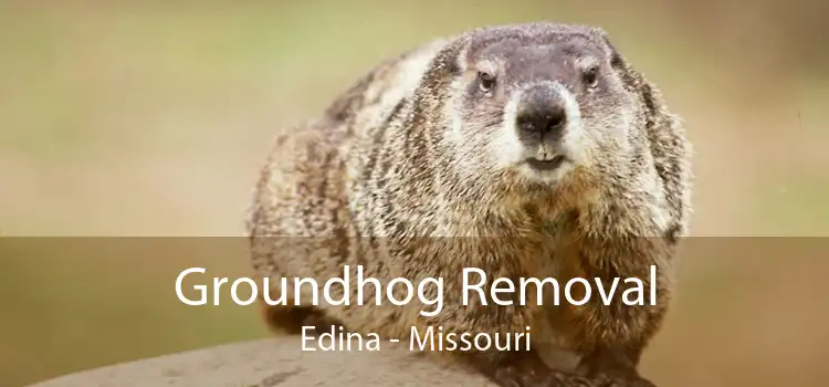 Groundhog Removal Edina - Missouri