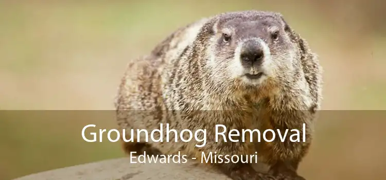 Groundhog Removal Edwards - Missouri