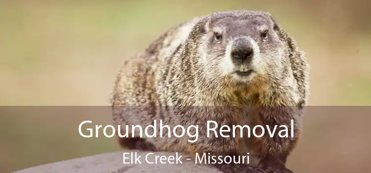 Groundhog Removal Elk Creek - Missouri