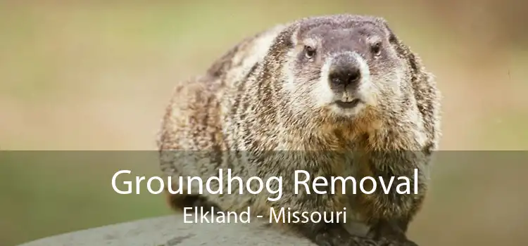 Groundhog Removal Elkland - Missouri