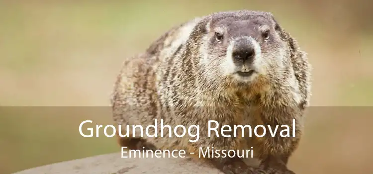 Groundhog Removal Eminence - Missouri