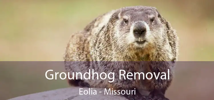 Groundhog Removal Eolia - Missouri