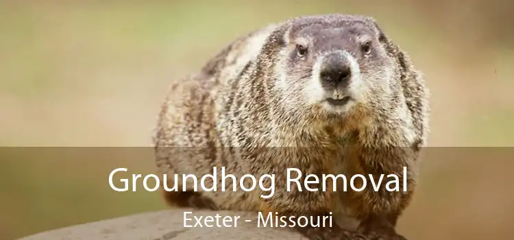 Groundhog Removal Exeter - Missouri