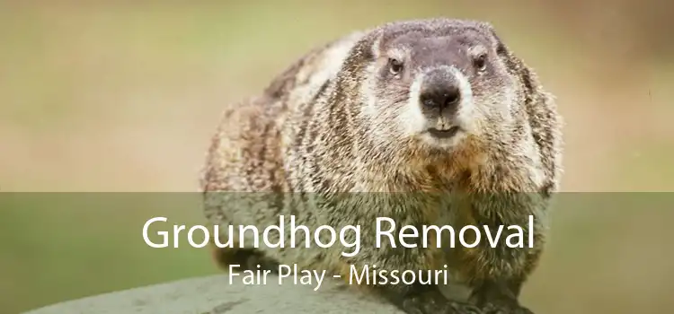 Groundhog Removal Fair Play - Missouri