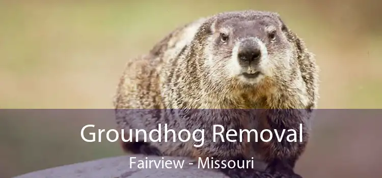 Groundhog Removal Fairview - Missouri