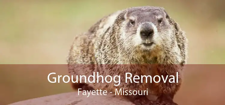 Groundhog Removal Fayette - Missouri