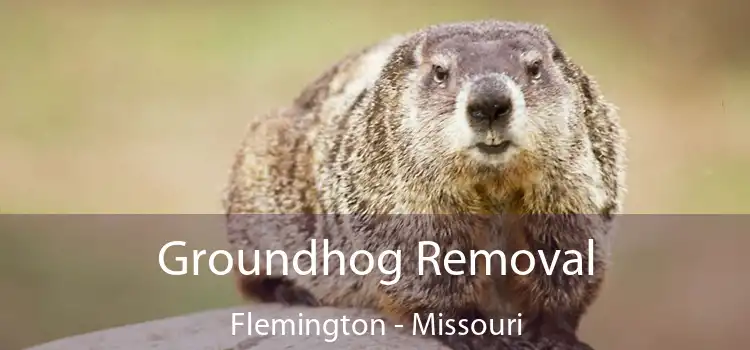 Groundhog Removal Flemington - Missouri