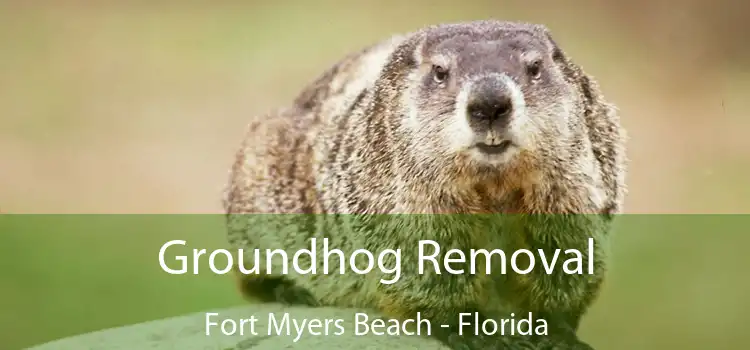 Groundhog Removal Fort Myers Beach - Florida