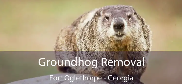 Groundhog Removal Fort Oglethorpe - Georgia