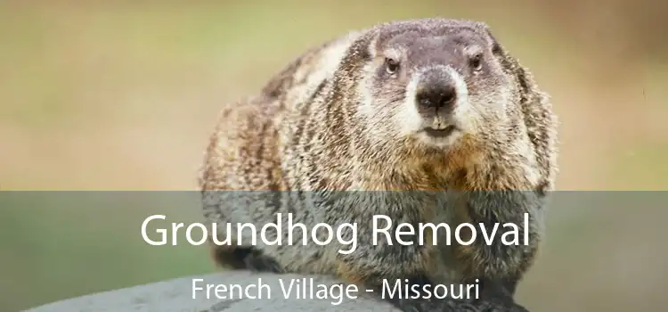 Groundhog Removal French Village - Missouri