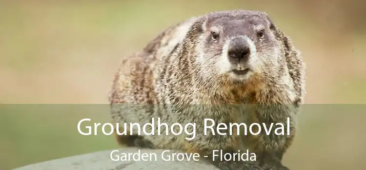 Groundhog Removal Garden Grove - Florida