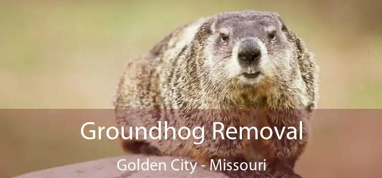 Groundhog Removal Golden City - Missouri