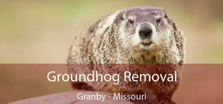 Groundhog Removal Granby - Missouri