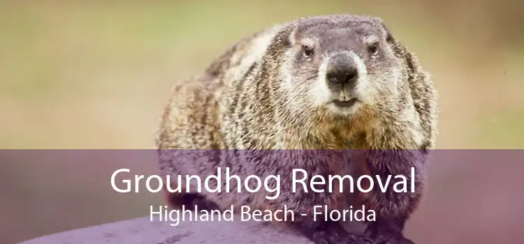Groundhog Removal Highland Beach - Florida