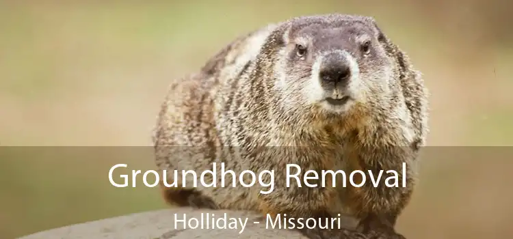 Groundhog Removal Holliday - Missouri