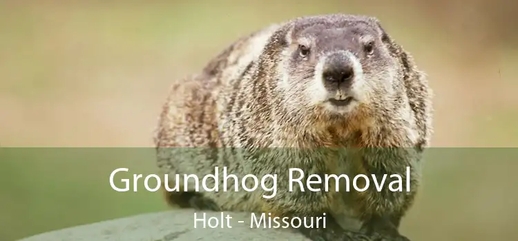 Groundhog Removal Holt - Missouri