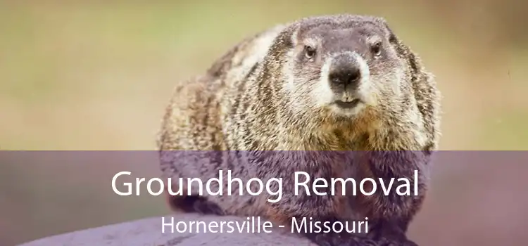 Groundhog Removal Hornersville - Missouri