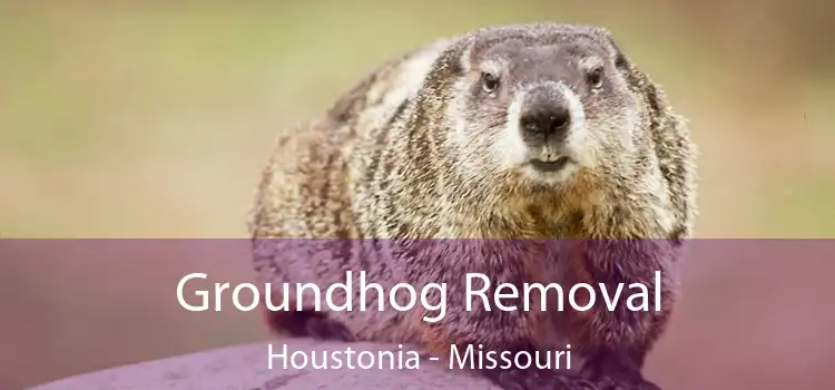 Groundhog Removal Houstonia - Missouri