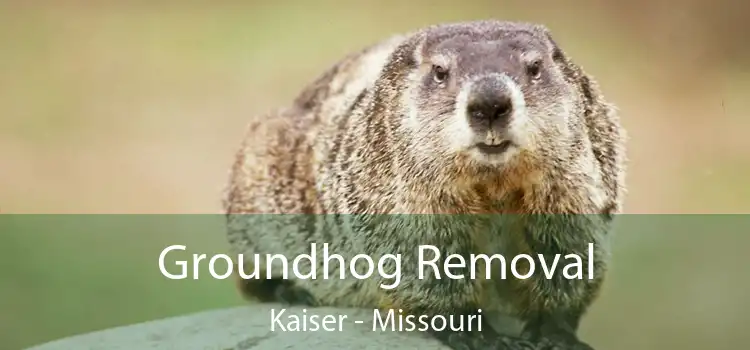 Groundhog Removal Kaiser - Missouri