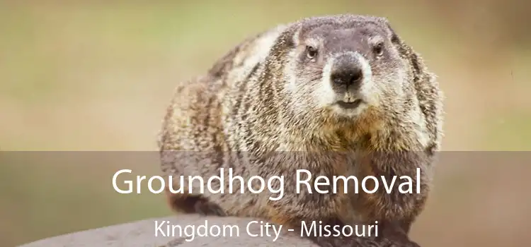 Groundhog Removal Kingdom City - Missouri