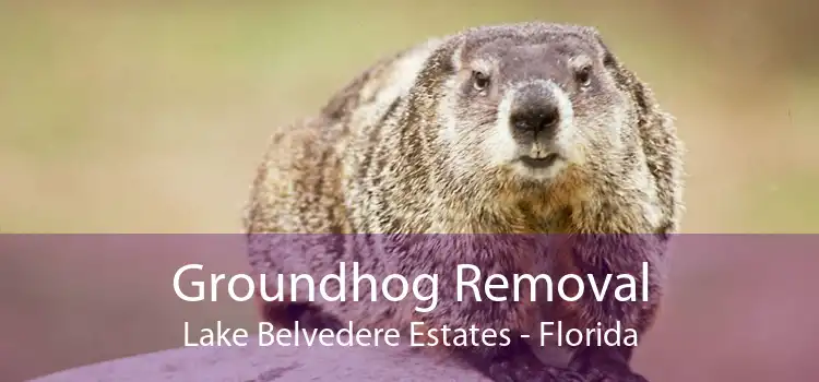 Groundhog Removal Lake Belvedere Estates - Florida