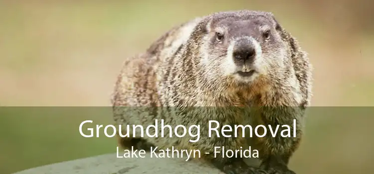 Groundhog Removal Lake Kathryn - Florida