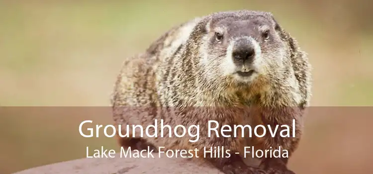 Groundhog Removal Lake Mack Forest Hills - Florida