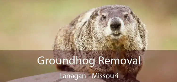 Groundhog Removal Lanagan - Missouri