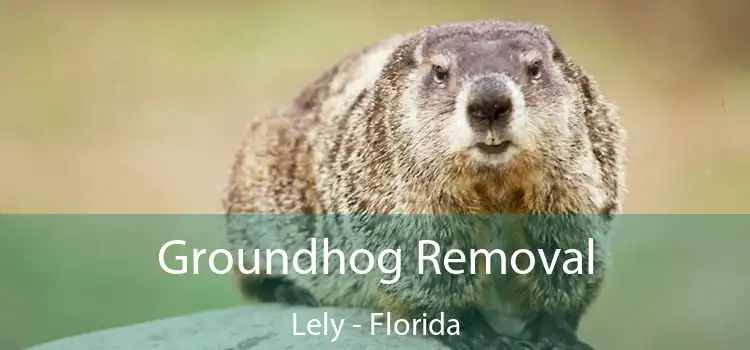 Groundhog Removal Lely - Florida